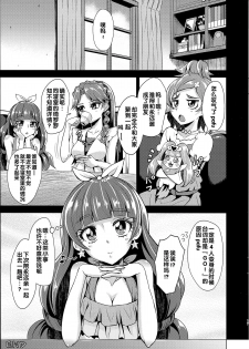 (C88) [Wareme (Koppe)] Okakugo Kimeraremasen deshita. (Go! Princess PreCure) [Chinese] - page 17