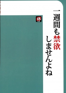 (C89) [UGC (Sasaki Akira)] Isshuukan mo Kinyoku Shitara, Gaman Dekimasen yo ne (Amagami) - page 18