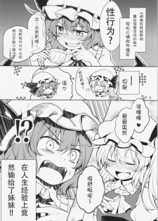 (C87) [Area-S (Dra)] Remilia Ojou-sama ni Ikenai Koto Suru Hon (Touhou Project) [Chinese] [kanade汉化组] - page 4