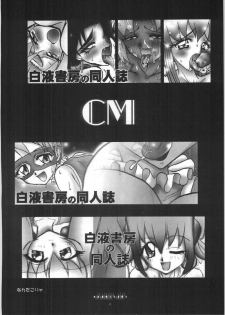 (C54) [Barricade (Nishizaki Byouya)] Nijiiro Network - The Program of Rainbow Colors (Street Fighter) - page 12