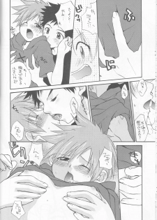 (C63) [Funazushi Bazooka, Shamontei, Cherry Gang (Sugioka Hiroyuki, Shamon, Amu)] Hime Takato - Princess Takato (Digimon Tamers) - page 14