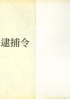俏警花5 - page 2