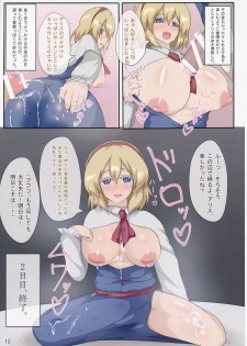 (Shuuki Reitaisai 2) [Zensuu Hakai Kensa (Black)] 3-kkakan de Ningyoutsukai o Otosu Hon (Touhou Project) - page 16