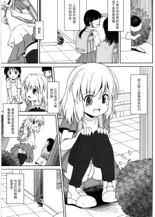 (C84) [Al Dente (Tsuna)] Youshoku [Chinese] [脸肿汉化组] - page 3