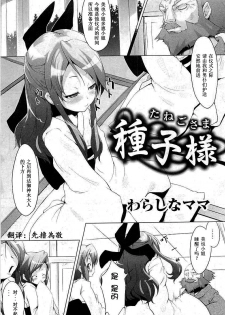 [Warashina Mama] Tanego-sama (COMIC PLUM 2009-05) [Chinese] [個人漢化] - page 1