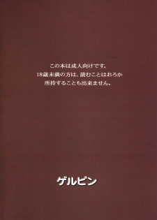 (C75) [Gerupin (Minazuki Juuzou)] Hakkou Hime to Tsuntsun Megane (Gundam 00) [Chinese] [沒有漢化] - page 18