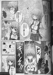 (Reitaisai 11) [e☆ALI-aL! (Ariesu Watanabe)] Touhou Ishokujuu (Touhou Project) - page 24