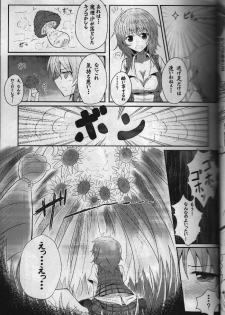 (Reitaisai 11) [e☆ALI-aL! (Ariesu Watanabe)] Touhou Ishokujuu (Touhou Project) - page 26