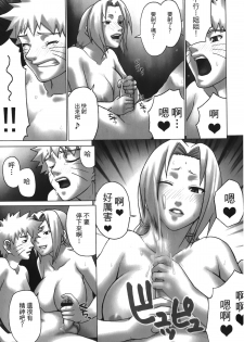 [Kishimoto Saisi] naruto ninja biography vol.06 (naruto) [chinese] - page 12