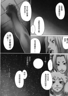 [Kishimoto Saisi] naruto ninja biography vol.06 (naruto) [chinese] - page 20