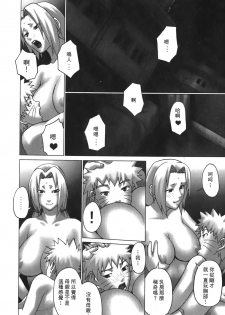 [Kishimoto Saisi] naruto ninja biography vol.06 (naruto) [chinese] - page 9