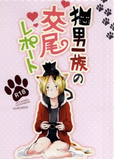 (RTS!!5) [MOBRIS (Tomoharu)] Neko Otoko Ichizoku no Koubi Report (Haikyuu!!)