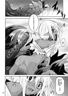 (C89) [Yoru no Benkyoukai (Fumihiro)] DARK ELF BREAKING [Chinese] [无毒汉化组] - page 11