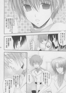 (C68) [Mutsuharu (Kagami Haruki)] Nekomimi Zouryouchuu (Gundam SEED DESTINY) [Incomplete] - page 21