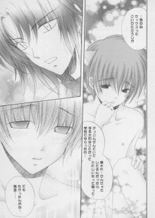 (C68) [Mutsuharu (Kagami Haruki)] Nekomimi Zouryouchuu (Gundam SEED DESTINY) [Incomplete] - page 16