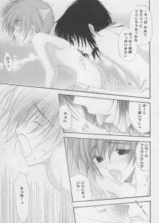 (C68) [Mutsuharu (Kagami Haruki)] Nekomimi Zouryouchuu (Gundam SEED DESTINY) [Incomplete] - page 10