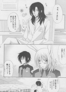 (C68) [Mutsuharu (Kagami Haruki)] Nekomimi Zouryouchuu (Gundam SEED DESTINY) [Incomplete] - page 39