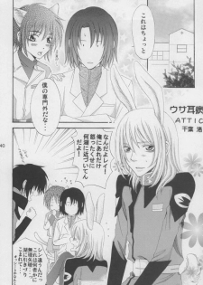 (C68) [Mutsuharu (Kagami Haruki)] Nekomimi Zouryouchuu (Gundam SEED DESTINY) [Incomplete] - page 37