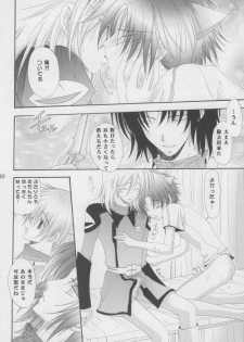 (C68) [Mutsuharu (Kagami Haruki)] Nekomimi Zouryouchuu (Gundam SEED DESTINY) [Incomplete] - page 27