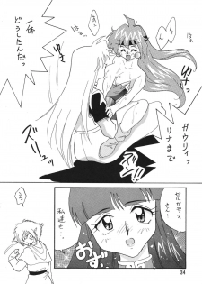 [Ginmomodou (Mita Satomi)] SLAYERS ADULT 2 (Slayers) [Digital] - page 34