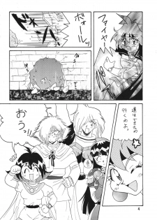 [Ginmomodou (Mita Satomi)] SLAYERS ADULT 2 (Slayers) [Digital] - page 4