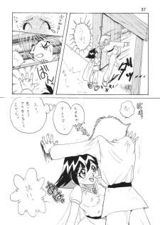 [Ginmomodou (Mita Satomi)] SLAYERS ADULT (Slayers) [Digital] - page 37