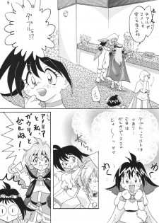 [Ginmomodou (Mita Satomi)] SLAYERS ADULT 4 (Slayers) [Digital] - page 5