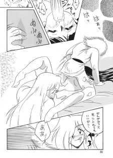 [Ginmomodou (Mita Satomi)] SLAYERS ADULT 5 (Slayers) [Digital] - page 30