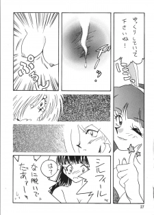 [Ginmomodou (Mita Satomi)] SLAYERS ADULT 5 (Slayers) [Digital] - page 27