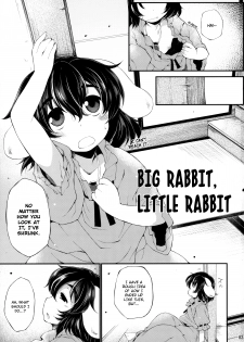 (C87) [IncluDe (Foolest)] Ookina Usagi Chiisana Usagi | Big Rabbit, Little Rabbit (Touhou Project) [English] [rqwrqw] - page 2