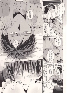 (C86) [NANA (Shinagawa Kaoruko)] Kagami Zukan - Kagami Pictorial Book (Kuroko no Basuke) - page 18