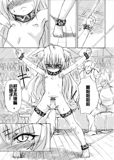 [Yanagida Fumita] Dassou Kemomimi Ouji no Higeki [Chinese] [acyloin个人汉化] - page 12