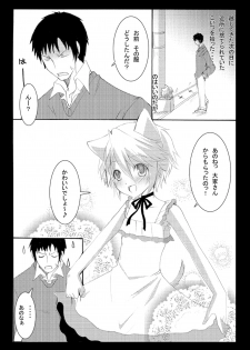 [Seiwa Kanmu (Tamaru)] Nyanko to Nyan Nyan [Digital] - page 4