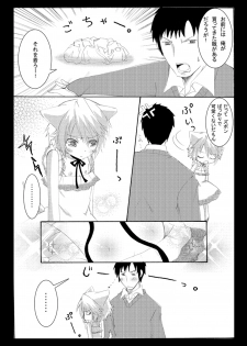 [Seiwa Kanmu (Tamaru)] Nyanko to Nyan Nyan [Digital] - page 5