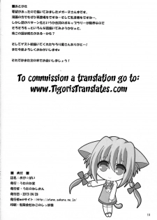 (COMIC1☆7) [Utanone Dou (Utanone Sion)] Mega☆Pai | Mega☆Tits (Mahou Shoujo Lyrical Nanoha) [English] [Tigoris Translates] - page 18