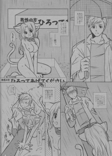 (C68) [HEAVENS (Tsukikage Manmaru)] Nyan Nyan (Fullmetal Alchemist) - page 4