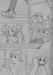 (C68) [HEAVENS (Tsukikage Manmaru)] Nyan Nyan (Fullmetal Alchemist) - page 5