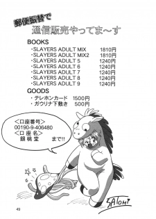 [Ginmomodou (Mita Satomi)] SLAYERS ADULT 9 (Slayers) [Digital] - page 49