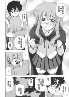 (C72) [G-SCAN CORP. (Satou Chagashi)] Le beau maitre 2 (Zero no Tsukaima) [Chinese] [最愛路易絲澪漢化組] - page 23