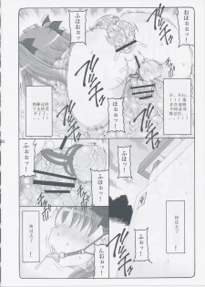 (C87) [Abarenbow Tengu (Izumi Yuujiro)] Kotori 11 (Fate/stay night) [Chinese] [个人汉化] - page 19