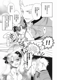 (C65) [Hanakaidou (Hanakaidou Yukio)] The Plastic Moon (Fate/stay night) [Chinese] - page 14