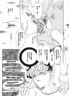 (C65) [Hanakaidou (Hanakaidou Yukio)] The Plastic Moon (Fate/stay night) [Chinese] - page 10