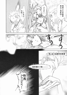 (C65) [Hanakaidou (Hanakaidou Yukio)] The Plastic Moon (Fate/stay night) [Chinese] - page 19