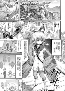 [Horitomo] Harpy no Manabiya ~Kashimashi Class~ | Harpy School ~Noisy Class~ (Kininaru Anoko wa Monster Musume) [Chinese] [CE家族社] - page 4