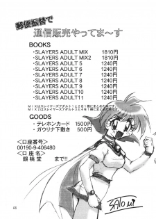 [Ginmomodou (Mita Satomi)] SLAYERS ADULT 11 (Slayers) [Digital] - page 48