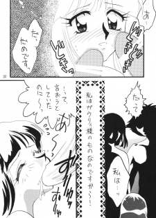 [Ginmomodou (Mita Satomi)] SLAYERS ADULT 11 (Slayers) [Digital] - page 30