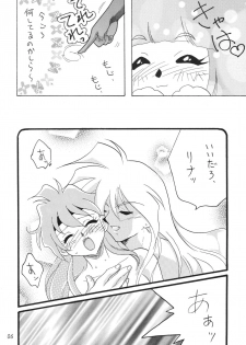 [Ginmomodou (Mita Satomi)] SLAYERS ADULT 11 (Slayers) [Digital] - page 6