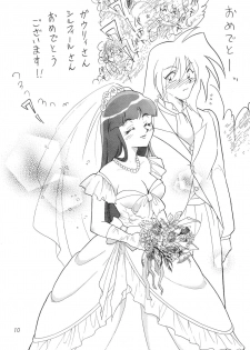 [Ginmomodou (Mita Satomi)] SLAYERS ADULT 11 (Slayers) [Digital] - page 10