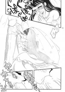 [Ginmomodou (Mita Satomi)] SLAYERS ADULT 11 (Slayers) [Digital] - page 13