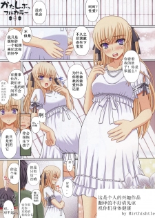 (C79) [Shiawase Kyouwakoku (Shiawase no Katachi)] Katashibu Full Color 35-shuu [Chinese] [Birtwishtle] - page 3